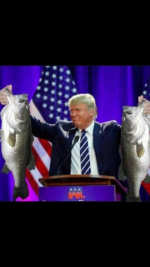 IMG_5786.PNG IMG_5786.PNG