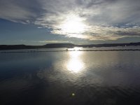 RIMG0008.jpg