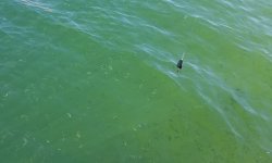 20170918_142850~2.jpg