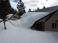 20170203_104026.jpg