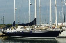 swan-65.jpg