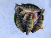 IMG_2095.JPG