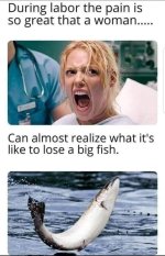 106D9852-610D-468D-B946-38494D88C0C9.jpeg