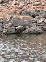D71C582A-19FF-49F2-865B-B9453F9BE3FA.jpeg