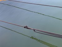 IMG_3545.jpeg