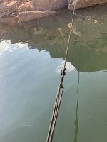 IMG_3528.jpeg