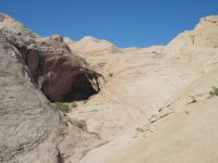 IMG_2935.jpg