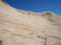 IMG_2942.jpg