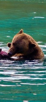 alaska13.jpg