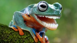 3B349636-773B-47C7-AE92-CB5C54C679F0.jpeg
