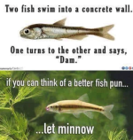 fish PUN.PNG