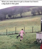 Buck.PNG