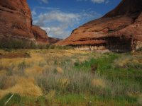 IMG_7862 small.jpg