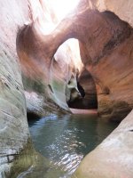 IMG_0939.jpg