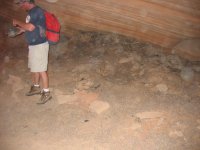 Guy Robertson Mammoth dung.jpg