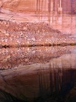 IMG_3175.jpg
