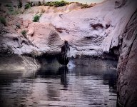 BDF9855F-7A02-4E8D-81BA-348C3746C7B5.jpeg