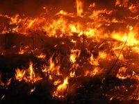 Wildfire. Photo by NIFC..jpg