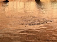 IMG_3825.jpeg