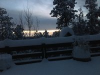 F284764A-117E-4A48-8399-BB6EEE4FD875.jpeg