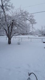 20230115_091132.jpg
