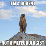 B598696E-26A3-4249-BD2E-060DC2DD7B55.jpeg