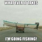 fish.jpg