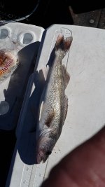 Resized_20211122_121246.jpeg