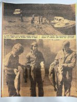 walleye.jpg