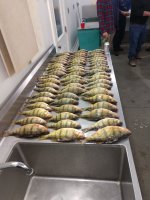 IMG_20230315_201118706.jpg
