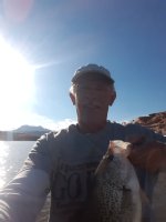 Resized_20210317_173321.jpeg Resized_20210317_173321.jpeg