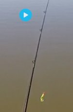 Screenshot_20230427-162608_GoPro Quik.jpg