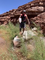 IMG_6115.jpeg IMG_6115.jpeg