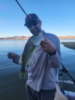 Bullfrog Largemouth.jpg