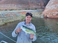 BF Largemouth.jpg