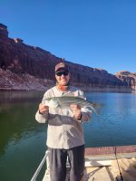 Striped Bass.jpg