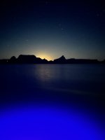 IMG_1785.jpeg
