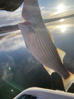 IMG_7630.jpeg