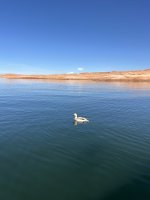 IMG_0978.jpeg
