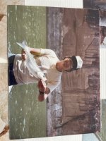 IMG_3335.jpeg