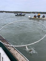 IMG_4280.jpeg