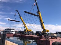 cranes.jpg