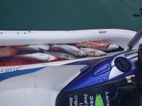 20180818_063819.jpg
