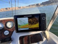 IMG_4163.jpg