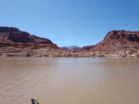 IMG_20250406_143704206.jpg