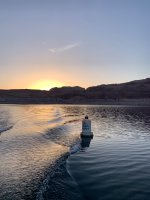 IMG_8341.jpeg