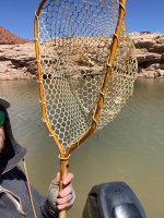 IMG_2171.jpeg
