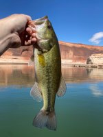 IMG_2683.jpeg