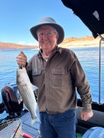Dam Striper.jpg