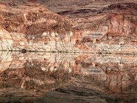 IMG_1005.jpeg